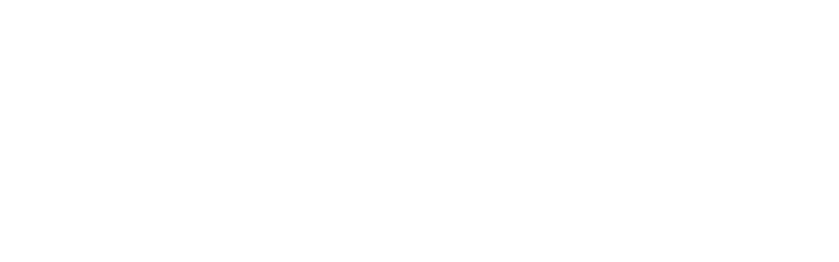 Warrior of Life